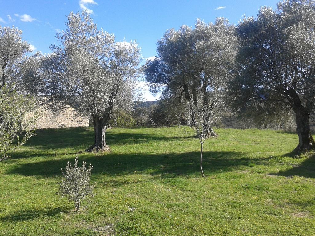 El Rincon De Aran Pension Lecina Buitenkant foto