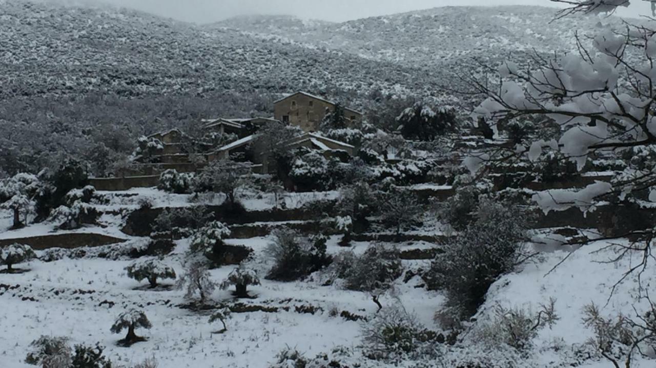 El Rincon De Aran Pension Lecina Buitenkant foto